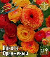 Ранункулюс Пикоти Оранжевый 