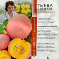Тыква Мармелад "Уральский дачник"
