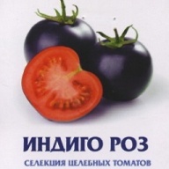 Томат Индиго роз  "Биотехника"