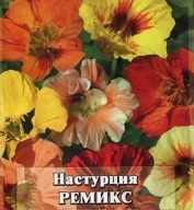 Настурция Ремикс "Гавриш"
