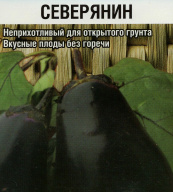 Баклажан Северянин "Сибирский сад"