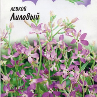 Левкой Лиловый "Гавриш"
