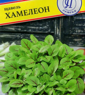 Щавель Хамелеон "Престиж семена"