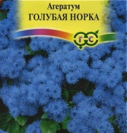 Агератум Голубая норка "Гавриш"