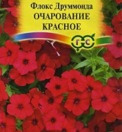 Флокс Друммонда Очарование красное  "Гавриш"