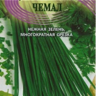 Лук шнитт Чемал "Гавриш"