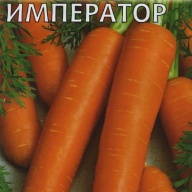 Морковь Император "Гавриш"
