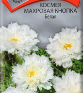 Космея Махровая кнопка белая "Поиск"