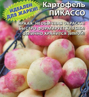 Картофель Пикассо "Уральский дачник"
