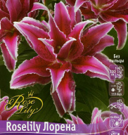 Лилия восточная махровая Roselily  Лорена