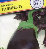 Баклажан Галинэ  F1 "Престиж семена"