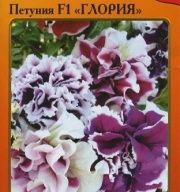 Петуния F1 Глория  "Русский огород"