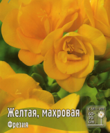 Фрезия Желтая махровая