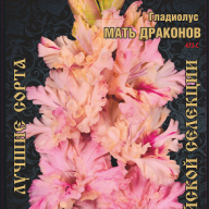 Гладиолус Мать Драконов