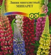 Люпин многолистный Минарет "Гавриш"