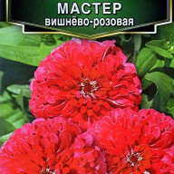 Цинния изящная Мастер вишнево - розовая "Аэлита"