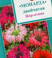 Монарда Жар - птица "Гавриш"