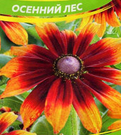 Рудбекия хирта Осенний лес "семена Алтая"