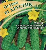 Огурец F1 Хрустик "Гавриш"