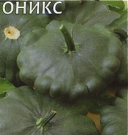 Патиссон Оникс "Гавриш"
