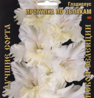 Гладиолус Прогулка по Облакам
