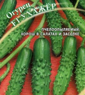 Огурец F1 Ухажер "Гавриш"