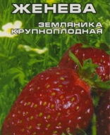 Земляника Женева "Сибирский сад"