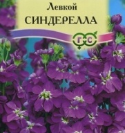 Левкой Синдерелла "Гавриш"
