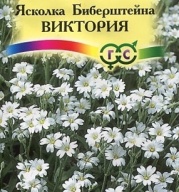 Ясколка Биберштейна Виктория "Гавриш"