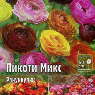 Ранункулюс Пикоти Микс 