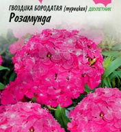 Гвоздика Розамунда "Гавриш"
