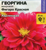 Георгина махровая Фигаро красная "семена Алтая"
