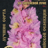 Гладиолус На Сиреневой Луне