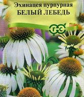 Эхинацея пурпурная Белый лебедь  "Гавриш"
