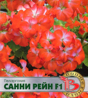 Пеларгония Санни Рейн F1 "Биотехника"