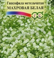 Гипсофила метельчатая Махровая белая "Гавриш"