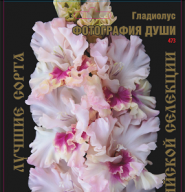 Гладиолус Фотография Души 
