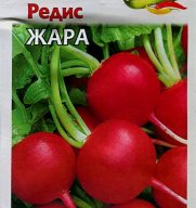 Редис Жара "Гавриш"