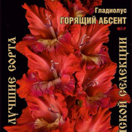 Гладиолус Горящий Абсент