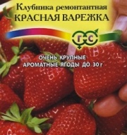 Клубника ремонтантная Красная варежка "Гавриш"
