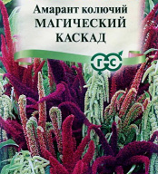 Амарант Магический каскад  "Гавриш"