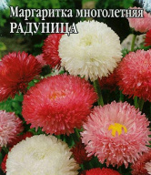 Маргаритка Радуница "Гавриш"