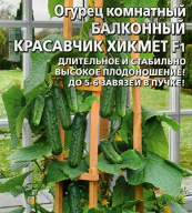 Огурец комнатный Красавчик Хикмет  F1 "Уральский дачник"
