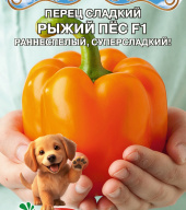 Перец сладкий Рыжий пес F1 "Premium Seeds"