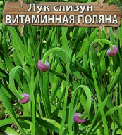 Лук слизун Витаминная поляна "Premium Seeds"