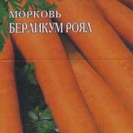 Морковь Берликум роял   (на ленте)  "Гавриш" 