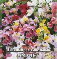 Львиный зев ампельный Амулет "Гавриш"