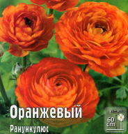 Ранункулюс Оранжевый