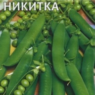 Горох Никитка "Гавриш"