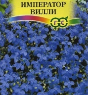 Лобелия Император Вилли "Гавриш"